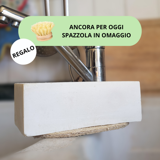 Sapone Piatti Solido Formato Risparmio